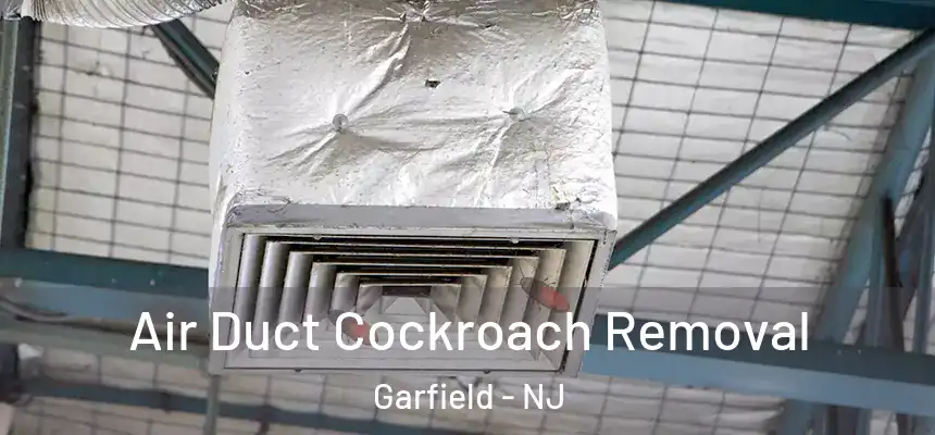 Air Duct Cockroach Removal Garfield - NJ