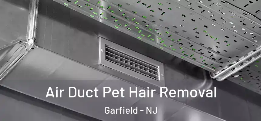 Air Duct Pet Hair Removal Garfield - NJ