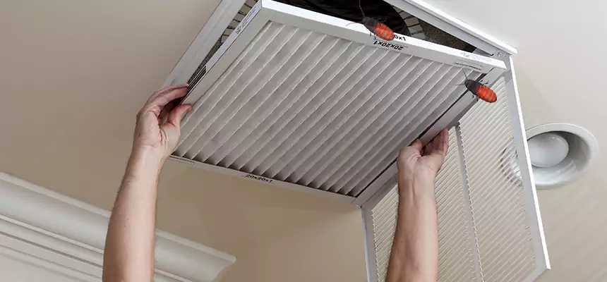 Preventive Cockroach-Proofing for Ducts in Garfield
