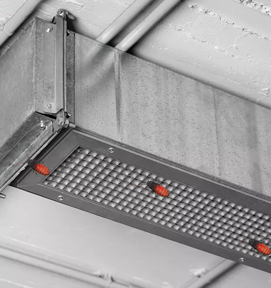 Affordable Insect Removal from Air Ducts in Garfield, NJ