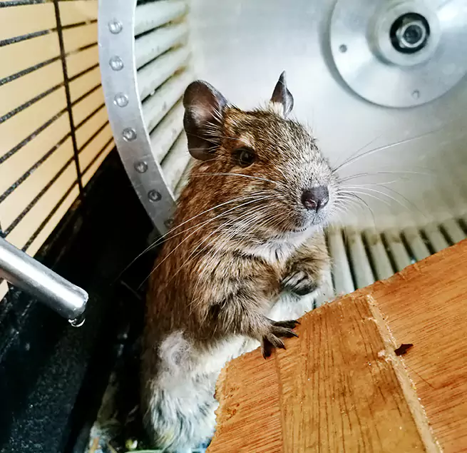 Why Homeowners & Businesses Trust Us Garfield, NJ